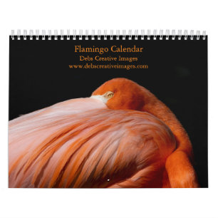 Flamingos da Flórida Calendário 2026