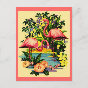FLAMINGOS DE PINCO bonito NO CARTÃO POSTAL DA FLO