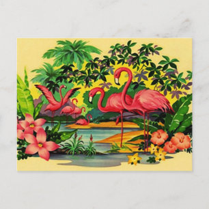FLAMINGOS DE PINCO bonito NO CARTÃO POSTAL DA FLO