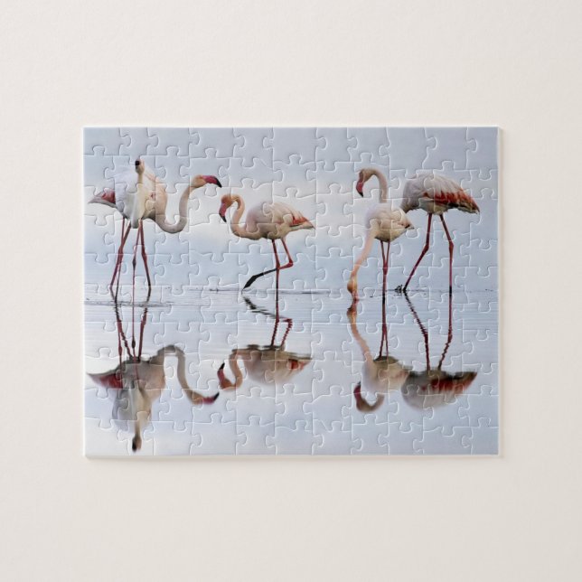 Flamingos Quebra-cabeça (Horizontal)