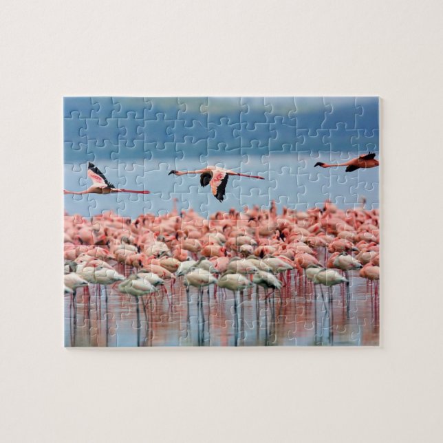 Flamingos Quebra-cabeça (Horizontal)