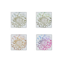 conjunto de quatro ímãs de pedra de flor de dália