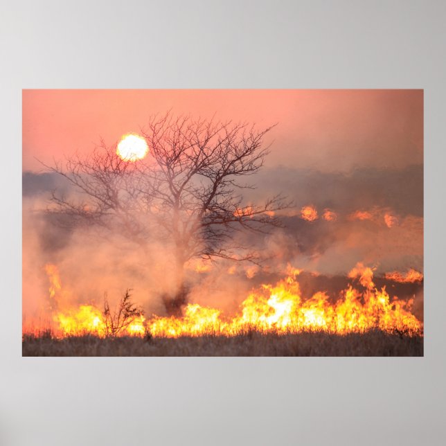 Flint Colinas Kansas Prairie Burn Poster (Frente)