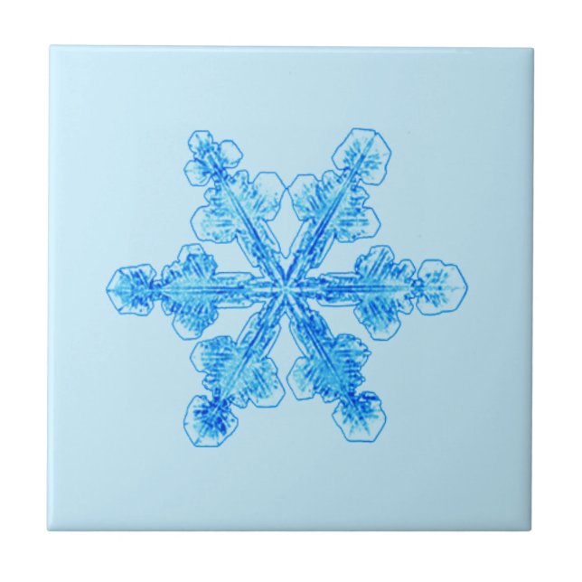 Floco de neve azul-inverno (Frente)