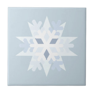 Floco de neve de inverno