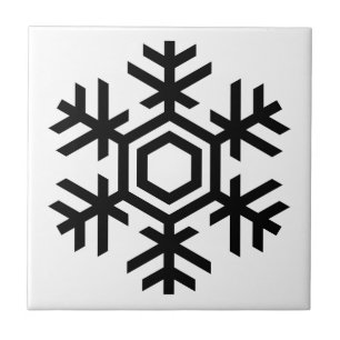 Floco de neve preto & branco