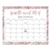 Flocos de neve rosa e prateada adivinham o Poster 