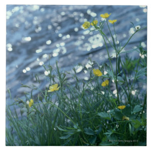 Flor