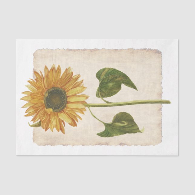 Flor 34 Papel Tecido de Decoupage de Girassol Amar (Frente )