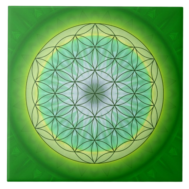 Flor a vida Nr. 3 de Tutti (Frente)