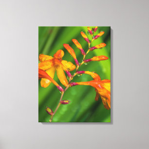 Flor alaranjada após o impressão das canvas da