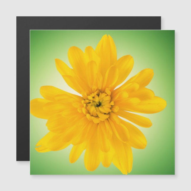 Flor amarela (Frente/Verso)
