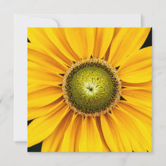 Flor Amarela Obrigado