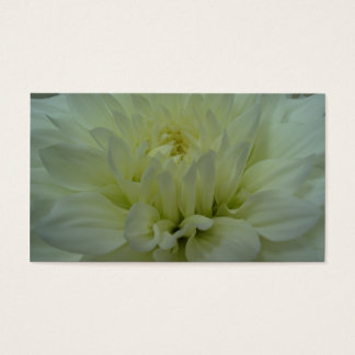 Flor Amarelo Dahlia