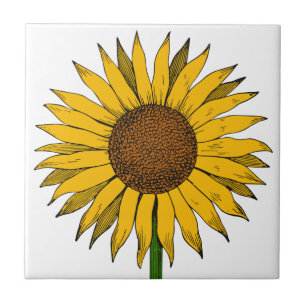 Flor Amarelo Sunflower