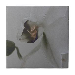 Flor artística em tons cinzentos