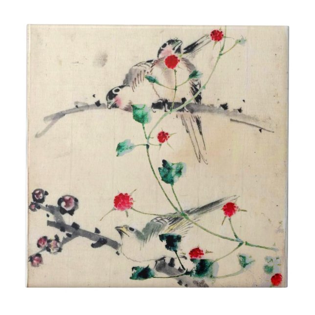 Flor Asiático (Frente)