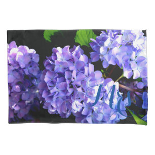 Flor azul roxa-brava-brava