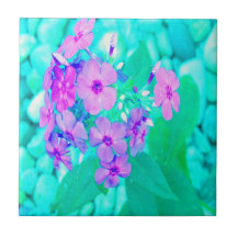 Flor bonito do Jardim Rosa no Aquamarine
