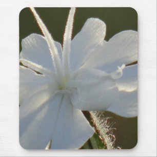 Flor branca brilhante do Mousepad