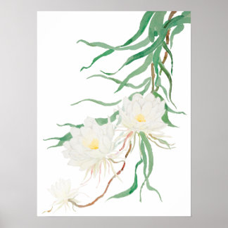 flor branca de epífilo Poster