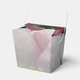 Flor Branca Rosa Tire A Caixa De Favor