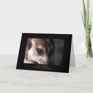 Flor - cartão das legendas