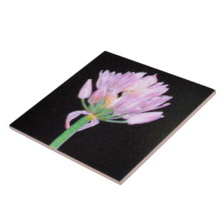 Flor Chives