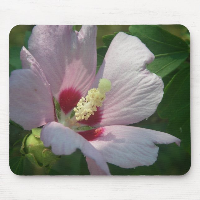 Flor cor-de-rosa bonita Mousepad (Frente)