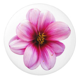 Flor cor-de-rosa botânica da dália em alguma cor