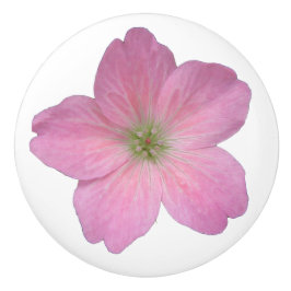 Flor cor-de-rosa botânica do gerânio em alguma cor