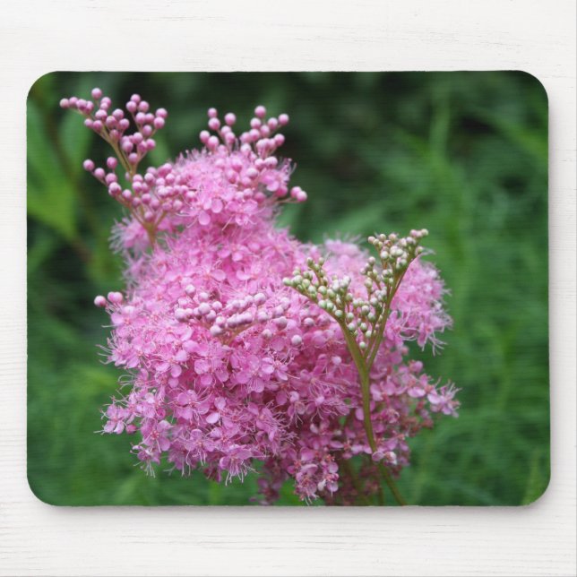 Flor cor-de-rosa original Mousepad (Frente)