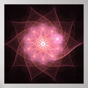 Flor cor-de-rosa - poster