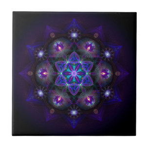 Flor da mandala da vida