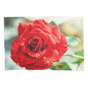 Flor da rosa vermelha