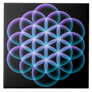 Flor da vida