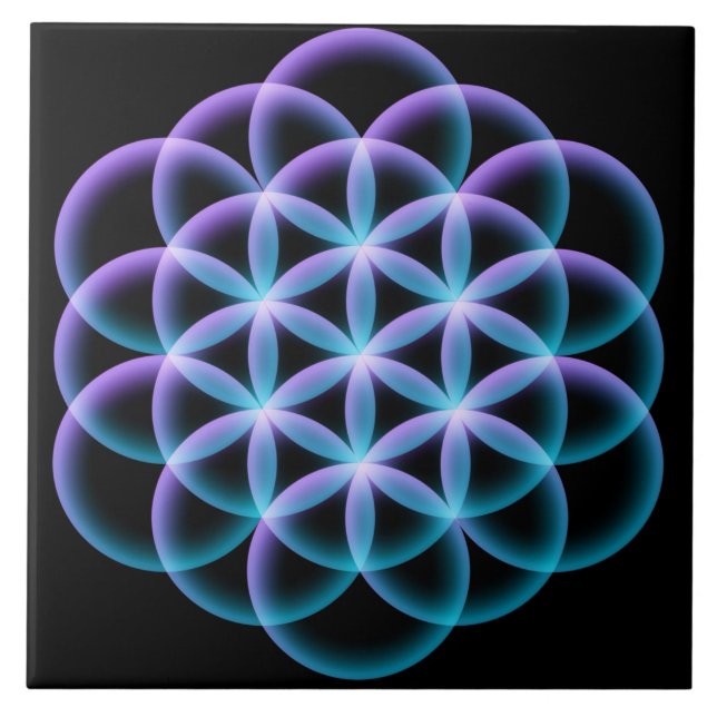Flor da vida (Frente)