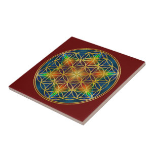 FLOR DA VIDA - Flor de Fractal 1