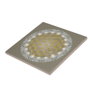 FLOR DA VIDA - Geometria Sagrada Luz 1