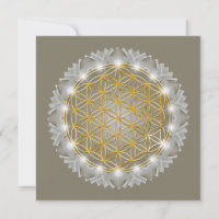 FLOR DA VIDA - Luz geométrica sagrada 1