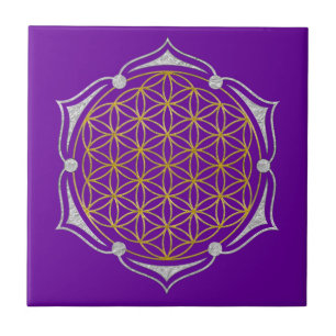 Flor da vida - prata do ouro de Lotus