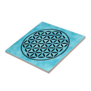 FLOR DA VIDA - Símbolo da Geometria Sagrada comple