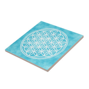 FLOR DA VIDA - Símbolo de Geometria Sagrada contor