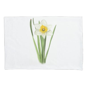 Flor Daffodil