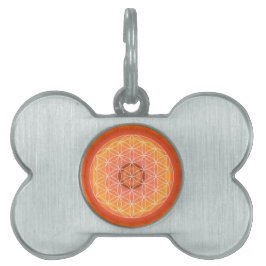 Flor de 2 Chakra da laranja da vida