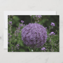 Flor de allium roxa - Cartão de Saudação Plano