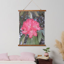 Flor de árvore vermelha