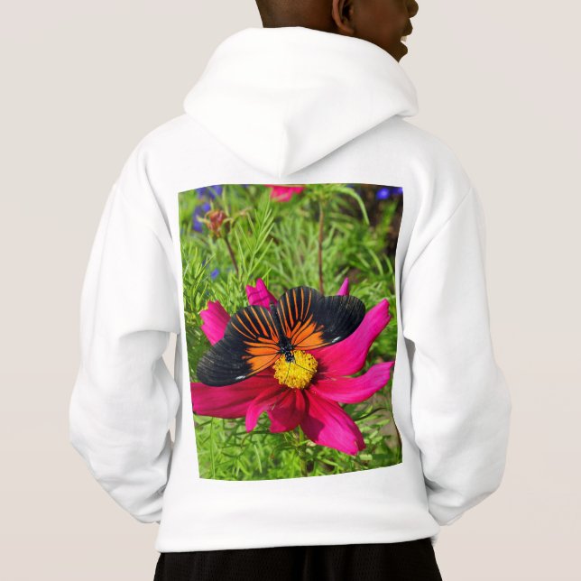flor de áster mexicano com uma Doris Longwing (Verso)