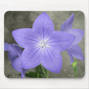 Flor de balão Mousepad