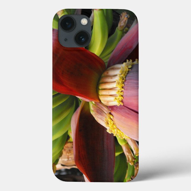 Flor de Banana (Verso)